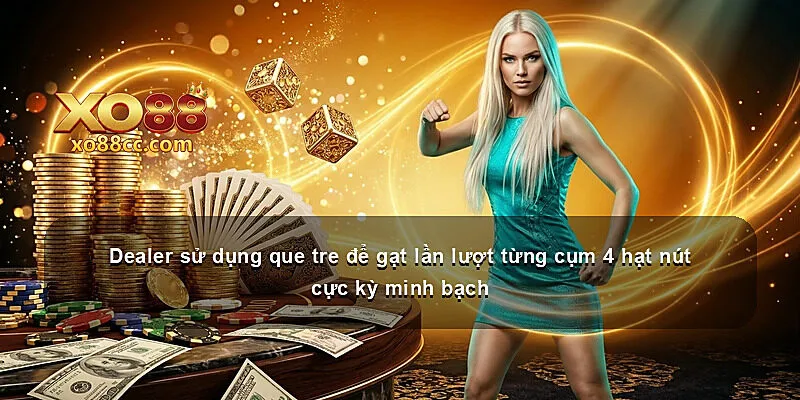 Dealer sử dụng que tre để gạt lần lượt từng cụm 4 hạt nút cực kỳ minh bạch