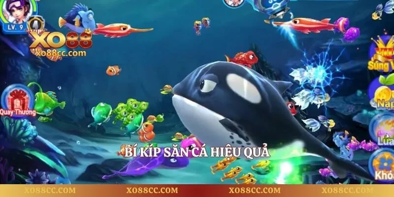 Vua Bắn Cá - Săn Boss Đại Dương Nhận Thưởng Lớn 4 Bí kíp săn cá hiệu quả