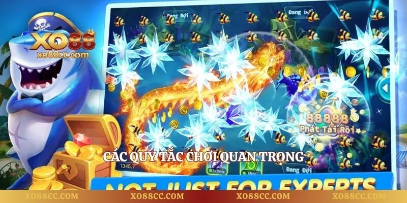 Bá Chủ Đại Dương Và Bí Kíp Săn Cá Nhận Thưởng Lớn 2 Các quy tắc chơi quan trọng