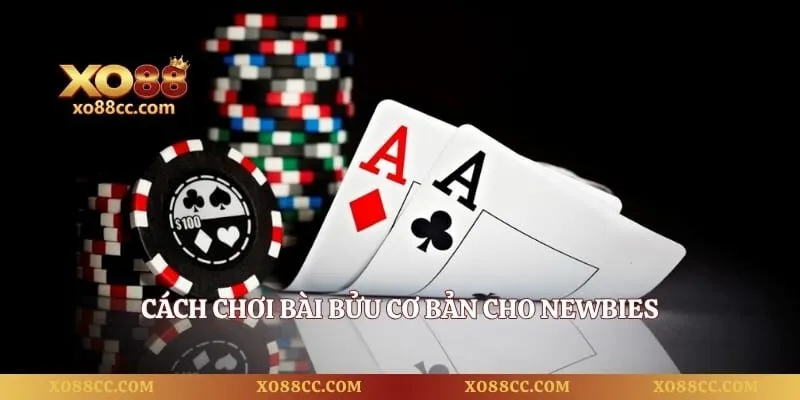 Bài Bửu – Khám Phá Luật Chơi Cơ Bản Tại Nhà Cái 2 Cách chơi bài bửu cơ bản cho newbies