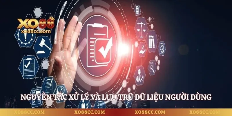 Chính Sách Bảo Mật - Quyền Lợi Và An Toàn Tuyệt Đối Cho Bạn 5 Nguyên tắc xử lý và lưu trữ dữ liệu người dùng chuẩn xác