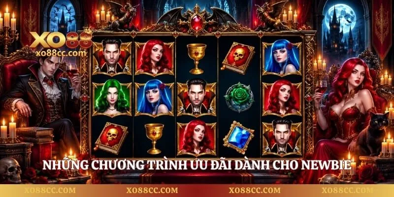Bá Tước Quyền Năng – Giải Mã Bí Ẩn Tối Ưu Lợi Nhuận 4 Những chương trình ưu đãi dành cho newbie